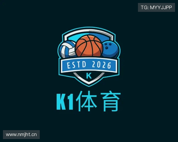 了解K1体育